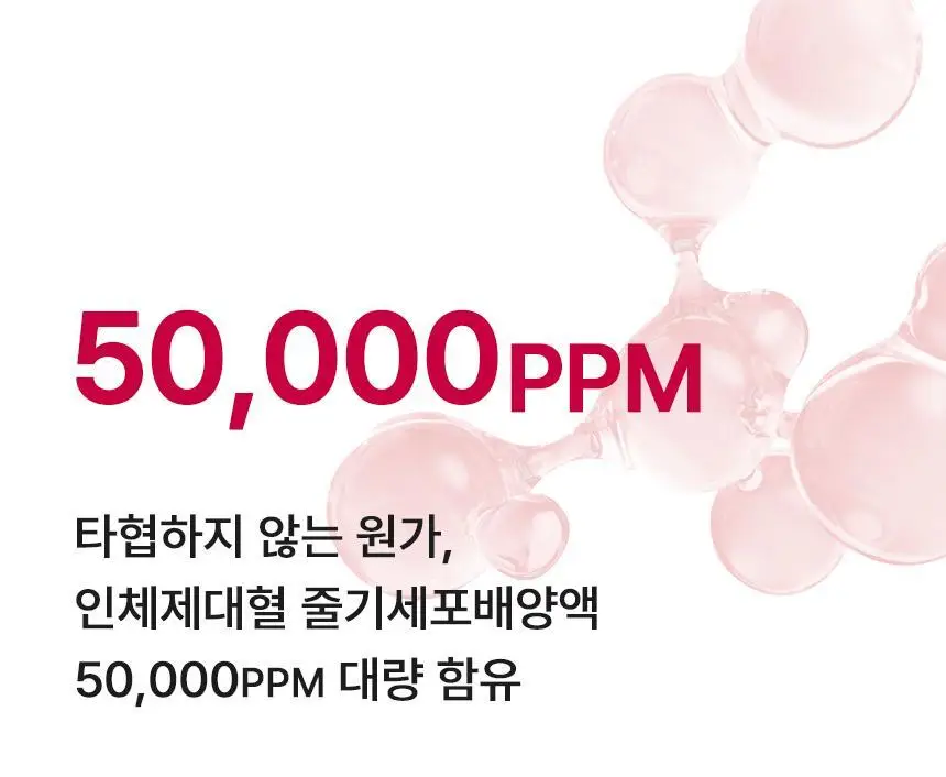 [줄기세포 넥패치/목주름] 뷰앤디 넥실키 마스크 (1매입/5매입) 상세페이지 5